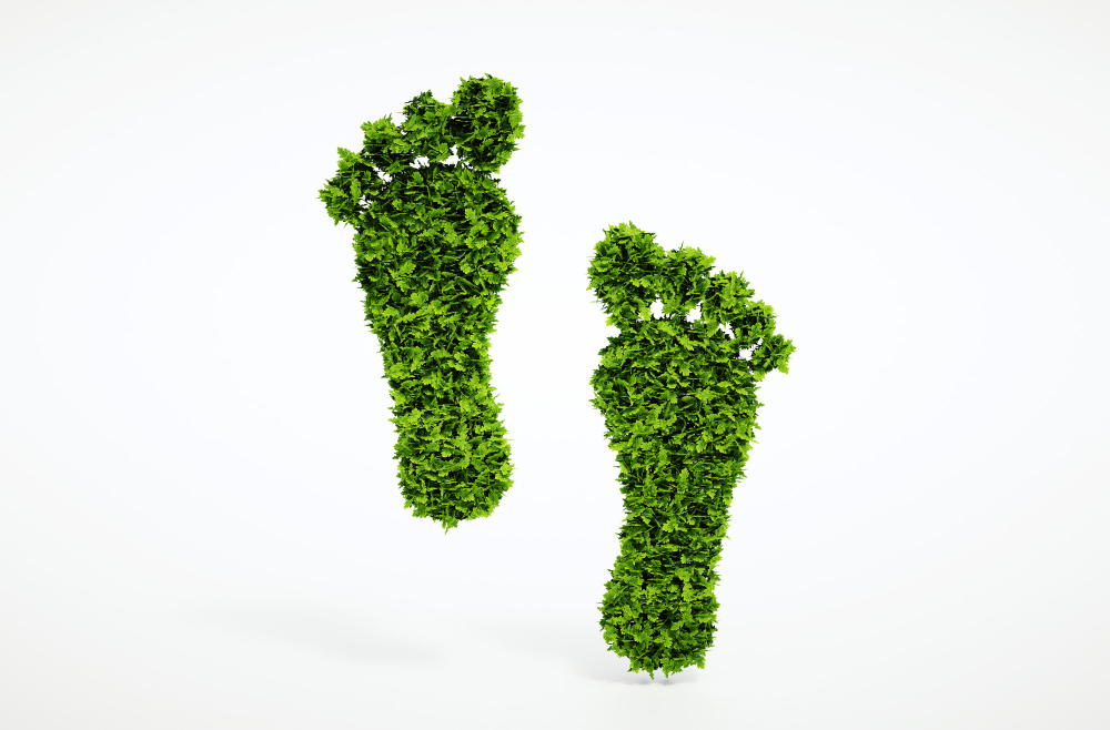 What is Carbon Footprint